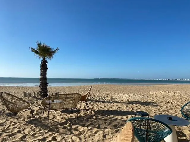 Ti Pins - Cocon Chaleureux Vue - Apartment